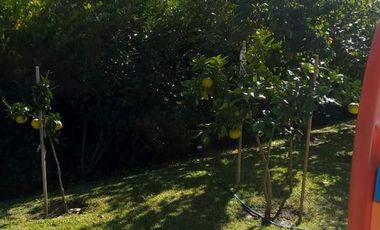 Casa en Terralagos