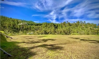 Venta Ultimos Lotes Sin Registro Vista Bosque Parcelacion Fizebad