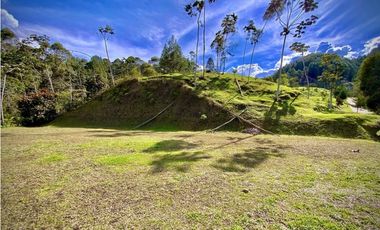 Venta Ultimos Lotes Sin Registro Vista Bosque Parcelacion Fizebad