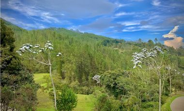 Venta Lote Parcelacion Sector Fizebad El Retiro