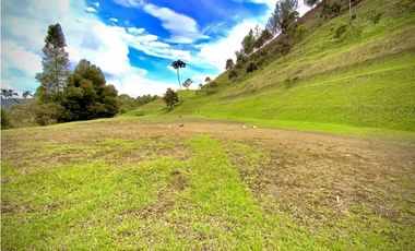 Venta Lote Parcelacion Sector Fizebad El Retiro