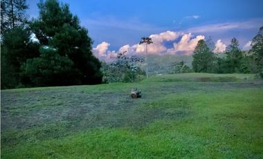 Venta Lote Parcelacion Sector Fizebad El Retiro