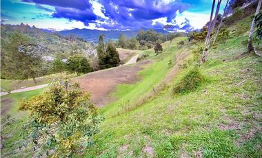 Venta Lote Parcelacion Sector Fizebad El Retiro