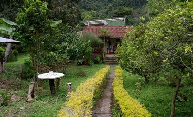 Finca en venta 600 metros San Juan de la Vega
