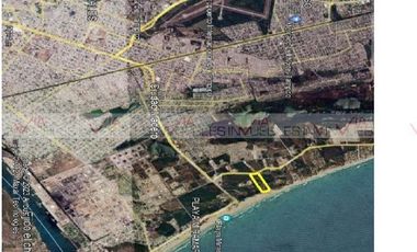 Costero Playa Miramar