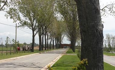 Barrio Privado La Alameda - Canning