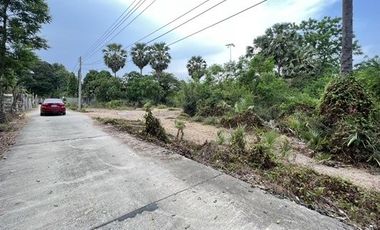 Land for sale in Bang Kao, Phetchaburi