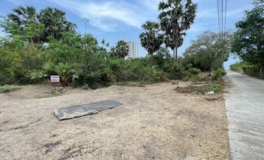 Land for sale in Bang Kao, Phetchaburi
