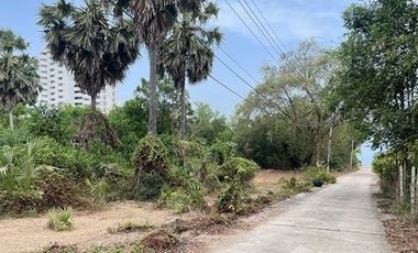 Land for sale in Bang Kao, Phetchaburi