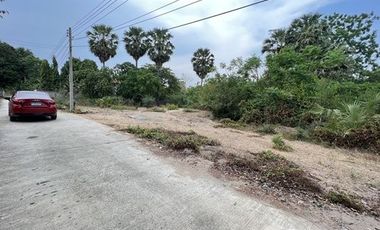 Land for sale in Bang Kao, Phetchaburi