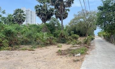Land for sale in Bang Kao, Phetchaburi
