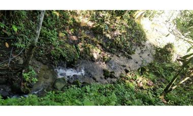 VENDO FINCA DE CINCO HECTAREAS BAJO CHIRIQUI