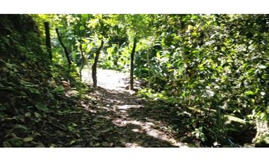 VENDO FINCA DE CINCO HECTAREAS BAJO CHIRIQUI