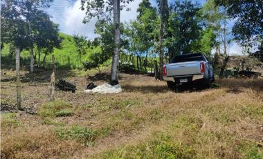 VENDO FINCA DE CINCO HECTAREAS BAJO CHIRIQUI