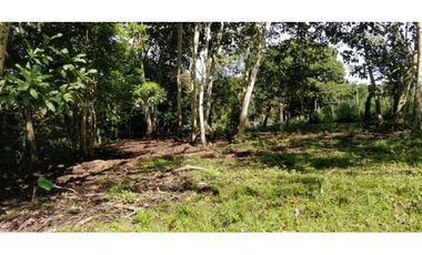 VENDO FINCA DE CINCO HECTAREAS BAJO CHIRIQUI