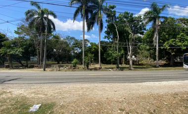TERRENO EN CLAYTON  ALBROOK 1956mts