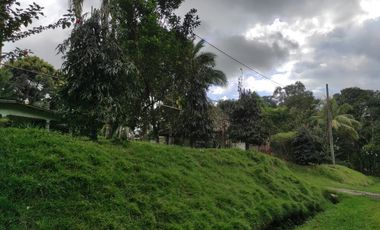 Venta de Finca con Vivienda y Producción en Santo Domingo, Chiriquí