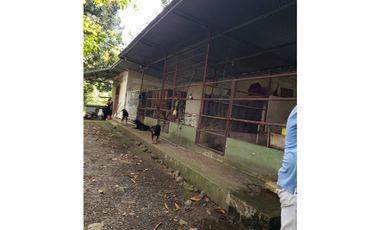 Venta de Finca con Vivienda y Producción en Santo Domingo, Chiriquí