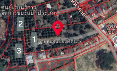 Land for sale in Rim Kok, Chiang Rai