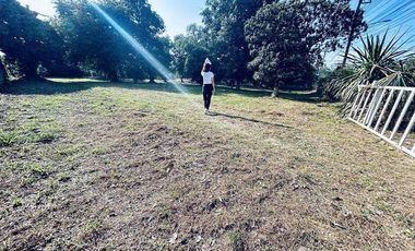 Land for sale in Rim Kok, Chiang Rai