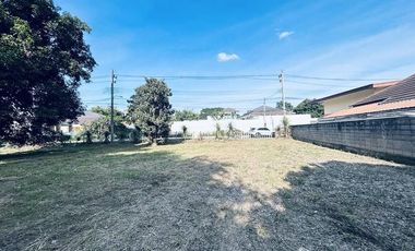 Land for sale in Rim Kok, Chiang Rai