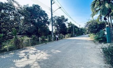 Land for sale in Rim Kok, Chiang Rai