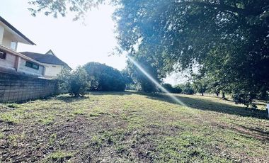 Land for sale in Rim Kok, Chiang Rai