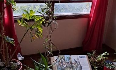 Casa en Venta en COD38108 - Casa - Venta - Coihaique