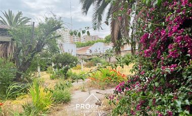 Sitio en Venta en José Domingo Cañas