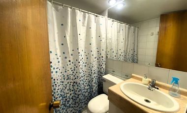 Departamento en Venta en Luis Zegers / Apoquindo