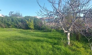 Terreno Construccion  en Venta en SE VENDE CASA CON GRAN TERRENO 679 M2 CON CASA