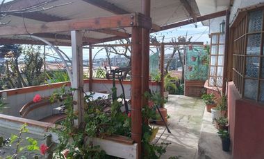 Local Comercial en Venta en Bernardo O´Higgins