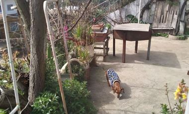 Terreno en Venta en Bernardo O´Higgins