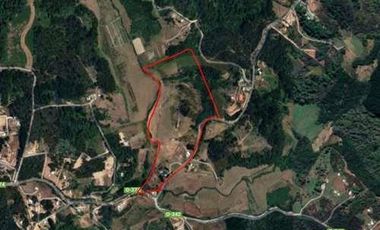 SE VENDE PARCELA. CAMINO A RAFAEL 10,93 HA.