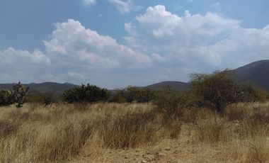 TERRENO  EN VENTA  EN TEQUISQUIAPAN, QUERÉTARO.