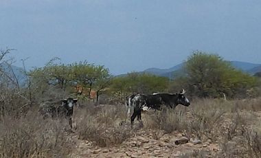 TERRENO  EN VENTA  EN TEQUISQUIAPAN, QUERÉTARO.
