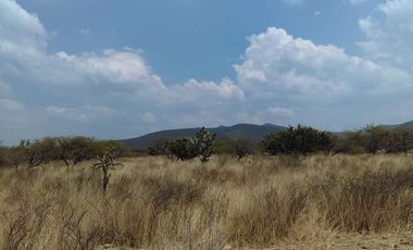 TERRENO  EN VENTA  EN TEQUISQUIAPAN, QUERÉTARO.