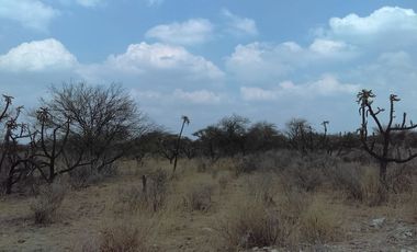 TERRENO  EN VENTA  EN TEQUISQUIAPAN, QUERÉTARO.