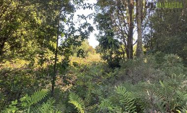 Parcela en Venta en Parcelación Colina La Vara