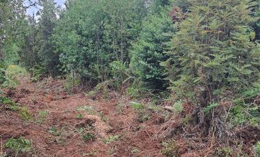 Parcela en Venta en Parcelación Colina La Vara