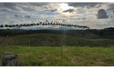 SE VENDE LOTE EN ALCALA