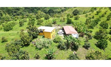Se vende finca en Quimbaya