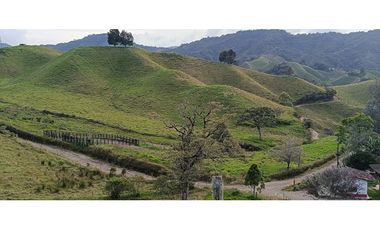 vendo finca la unión via Abejorral Antioquia sector Mesopotamia 70 HA