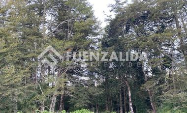 Parcela en Venta en Los Muermos