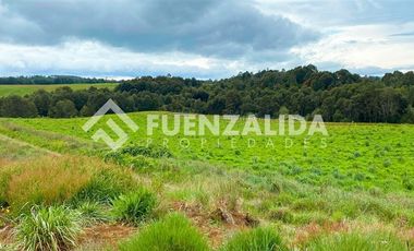 Parcela en Venta en Los Muermos