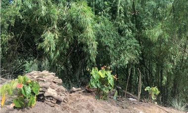 LOTE EN VENTA PEREIRA SECTOR MARAYA