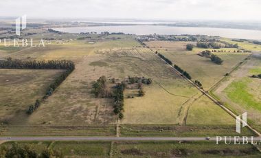 Campo en San Miguel del Monte