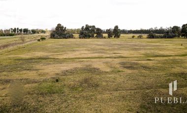 Campo en San Miguel del Monte