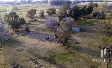 Campo en San Miguel del Monte
