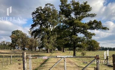 Campo en San Miguel del Monte
